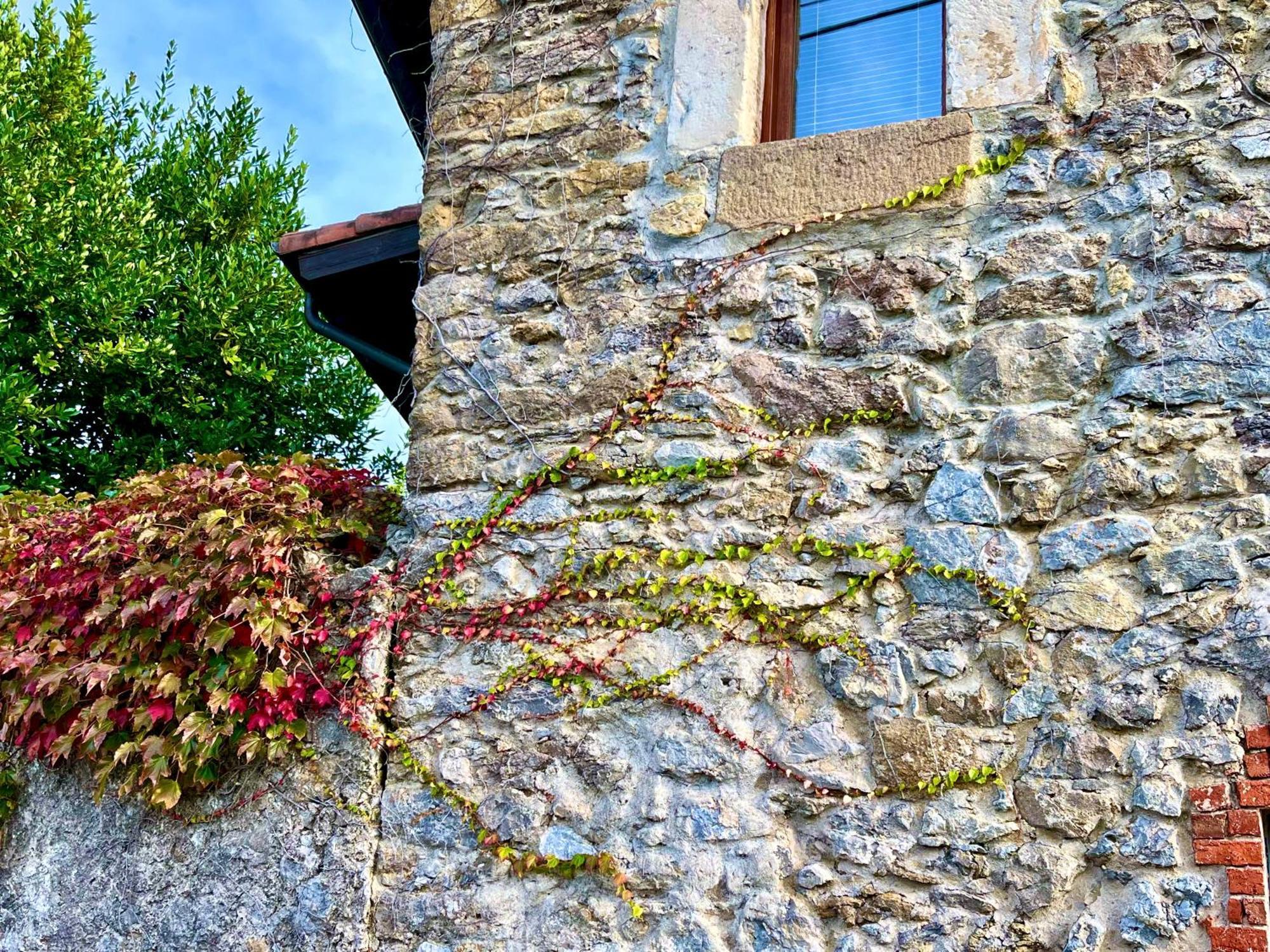 Casona Molinos Del Agua Lägenhet Arnuero Exteriör bild